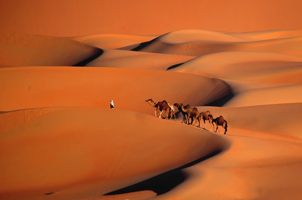 مصور عراقي يحول رمال الصحراء في ليوا بأبوظبي إلى لوحات فنية