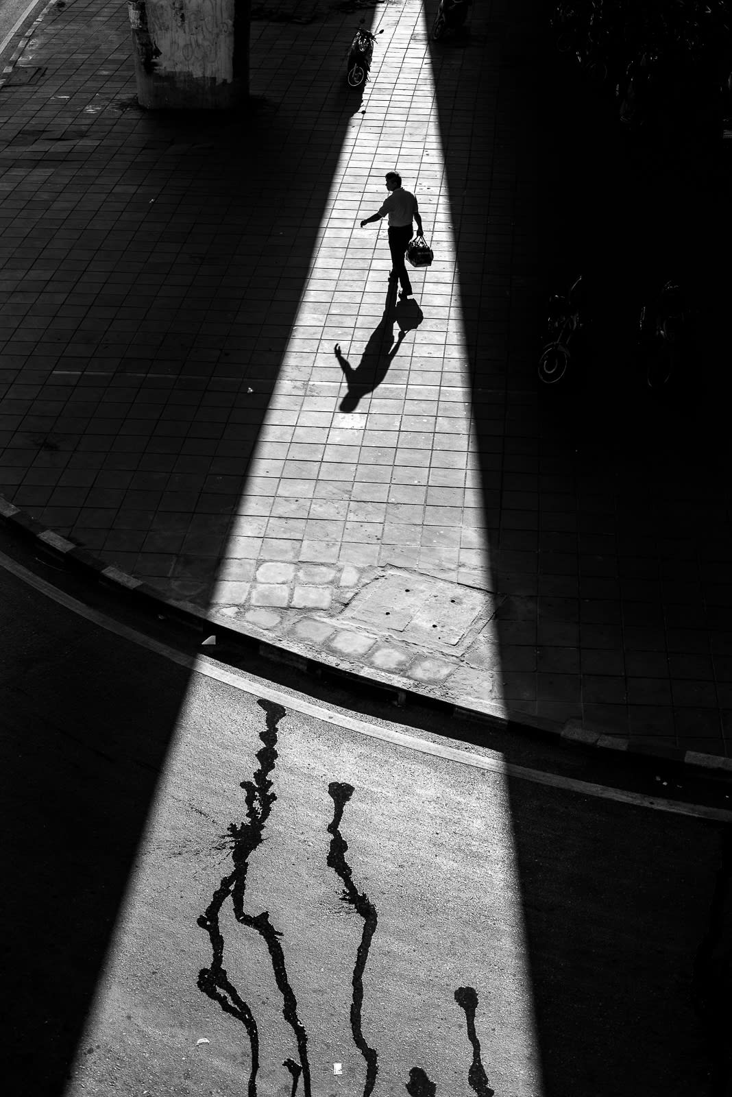 ظلال الوحدة