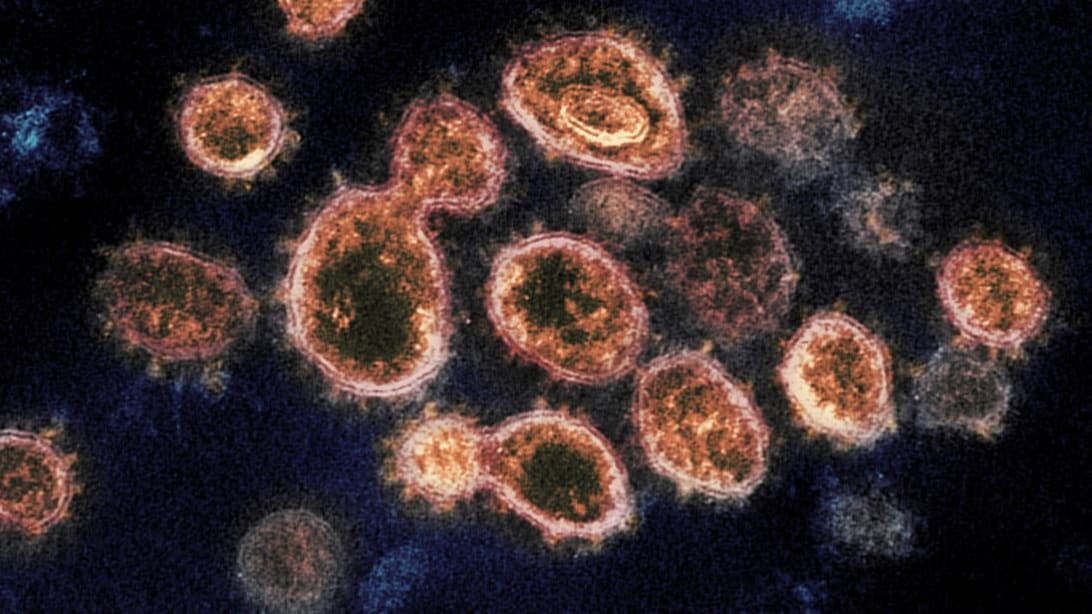 لماذا يعتبر خبراء الصحة “متغير دلتا” أكبر تهديد في محاولاتنا للقضاء على فيروس كورونا؟