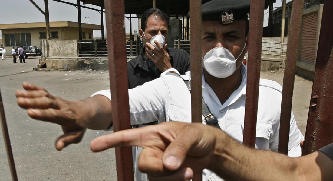 الذعر من أنفلونزا الخنازير ينتقل إلى سجون مصر