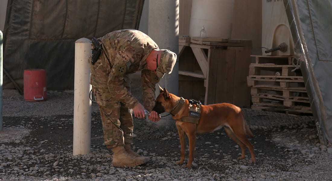 الجيش الأمريكي "يتبرأ" من كلب رهينة لدى طالبان