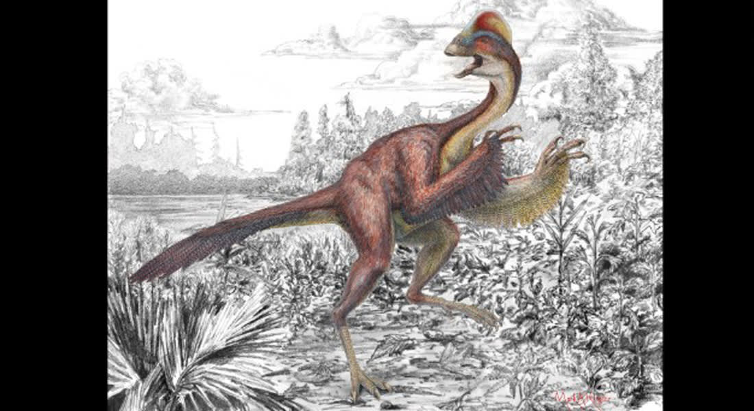 دجاجة الجحيم.. أحدث الديناصورات المكتشفة بأمريكا 