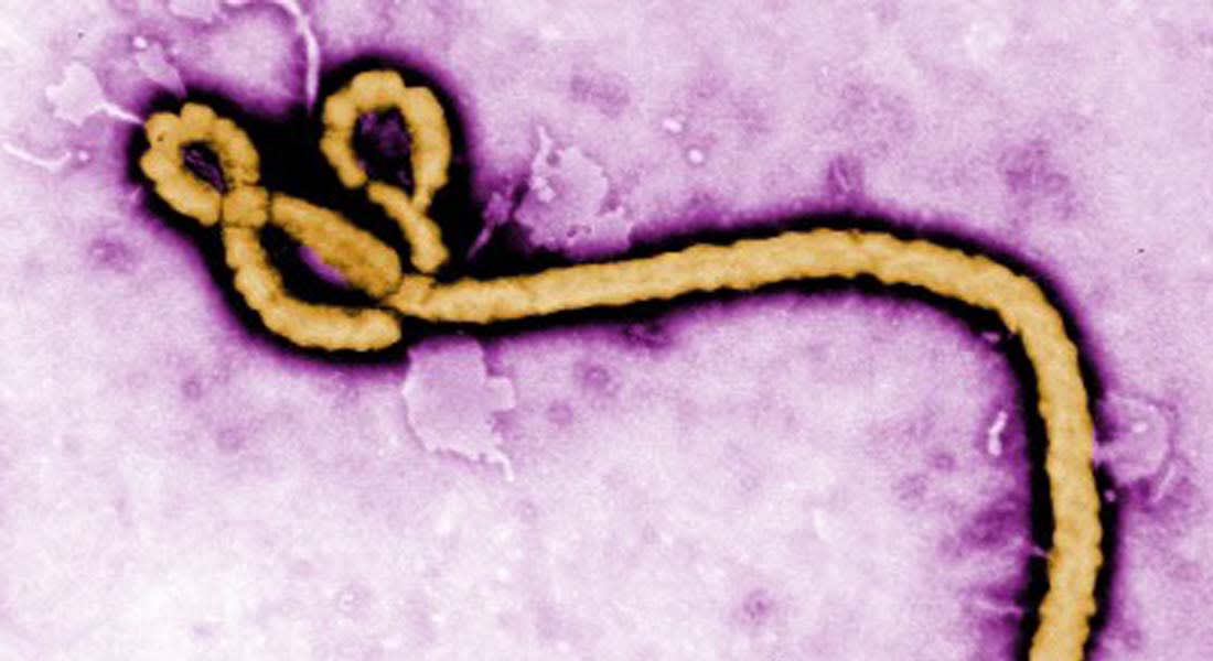 بعد وصول "إيبولا" إلى نيويورك ..نيوجيرسي تعزل عاملة صحية لإصابتها بأعراض المرض