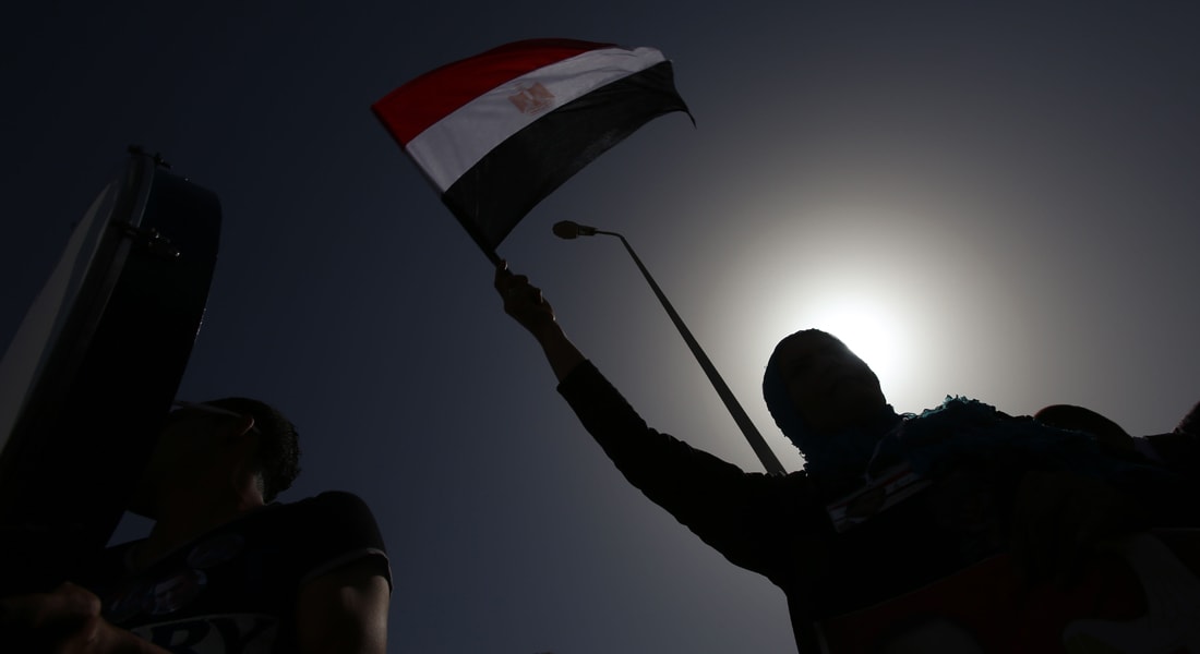 رأي حول "تجاهل" الحكومة المصرية لبعض نصوص الدستور