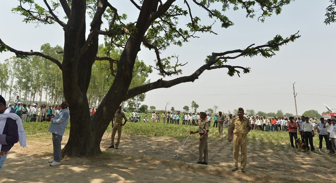 مفاجأة بقضية الهنديتين المشنوقتين على شجرة مانجو.. التحقيقات تؤكد انتحارهما