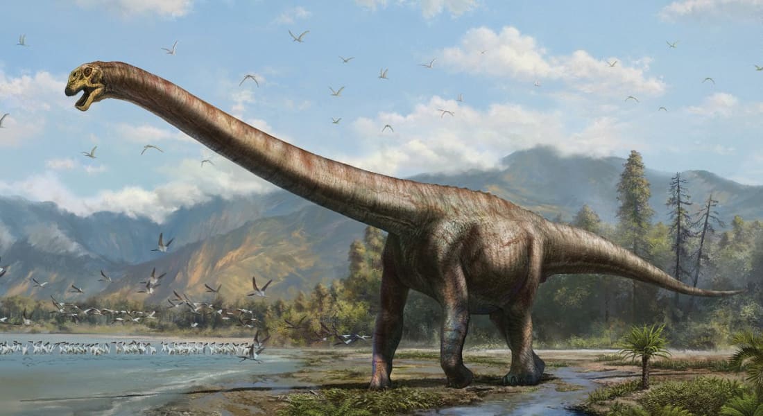 هيكل يكشف عن الديناصور "التنين" في الصين.. مخلوق جاب الأرض منذ 160 مليون عام