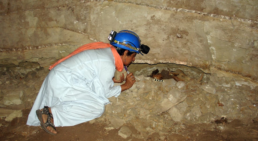 اكتشاف مومياوات 8 ملايين حيوان أغلبها من الكلاب بسراديب مصر الأثرية 