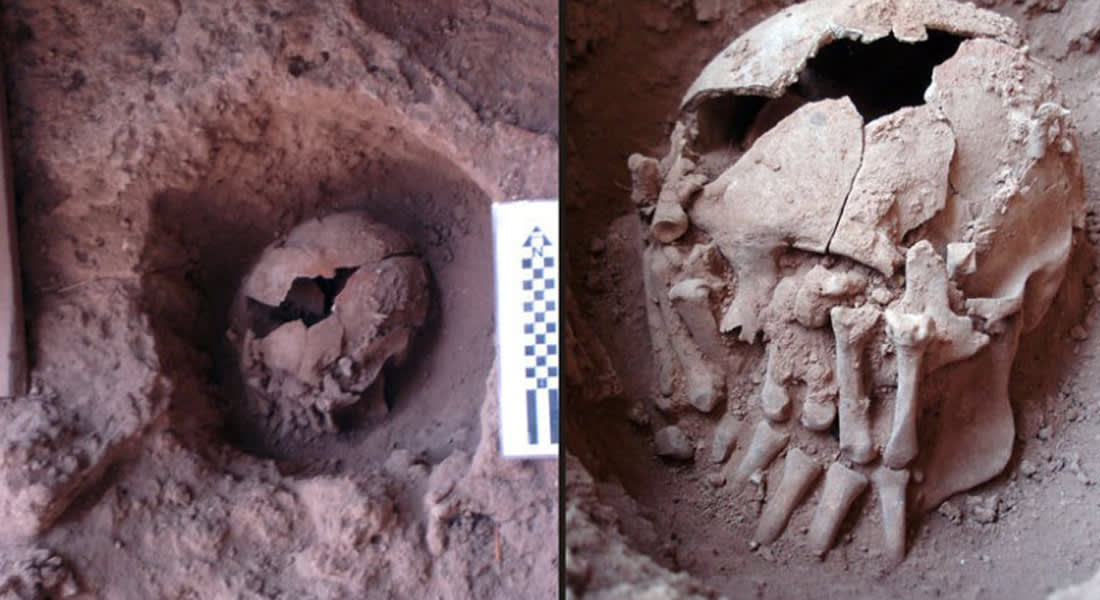 اكتشاف جمجمة عمرها 9 آلاف عام.. هل هي أقدم دليل على شعائر تقطيع الأجسام؟
