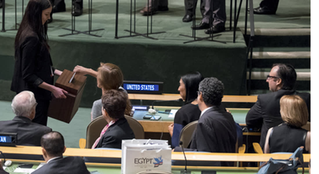 مصر تفوز بعضوية غير دائمة في مجلس الأمن الدولي.. وتتعهد بالدفاع عن القضايا العربية والأفريقية