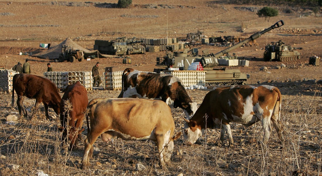 اتهامات لبنانية لدورية إسرائيلية بسرقة 4 رؤوس ماشية من "كفر شوبا"