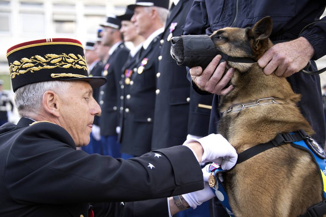 حملة تضامنية واسعة بهاشتاغ "أنا كلب" بعد قتل "إرهابيين" كلبة بوليسية بباريس