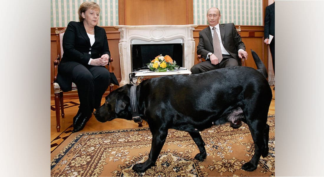 فلاديمير بوتين: لم أقصد إخافة انجيلا ميركل بكلبي