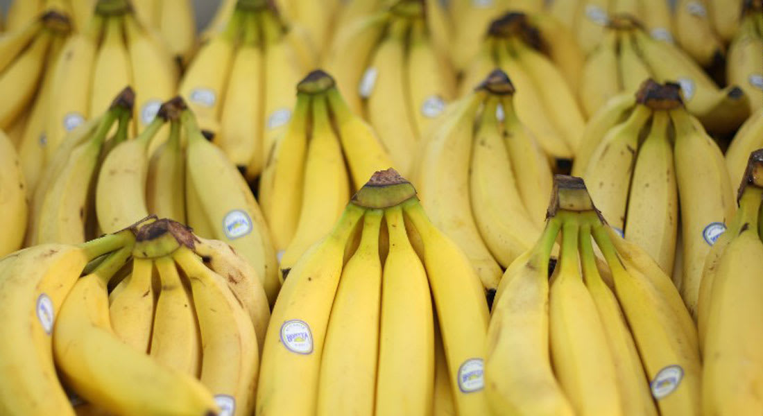 من علاج فقر الدم إلى محاربة الاكتئاب..7 أسباب لتناول الموز يومياً 