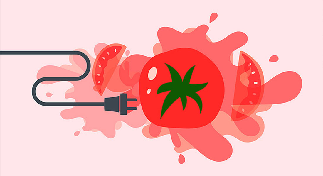 هل يمكننا أن ننتج الكهرباء من الطماطم مستقبلاً؟ 