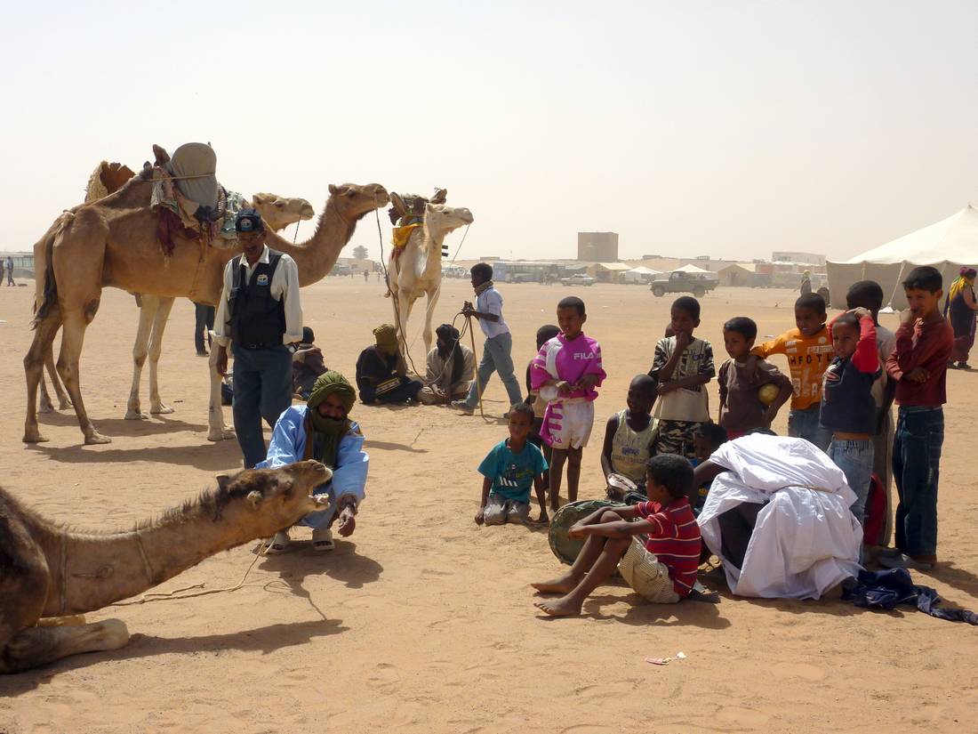 الجزائر توّفر مخيمات صيفية لأطفال وشباب البوليساريو