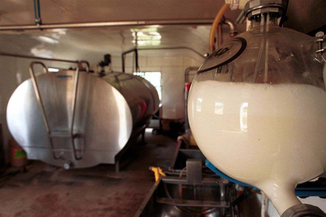 استيراد الجزائر للمواد الغذائية يرتفع بـ10.13 بالمئة.. والحليب في صدارة الحاجيات
