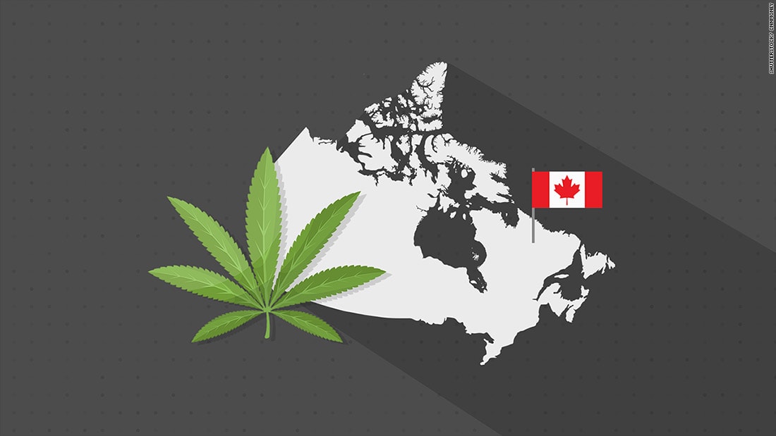 كندا قد تجني المليارات من قطاع الماريجوانا