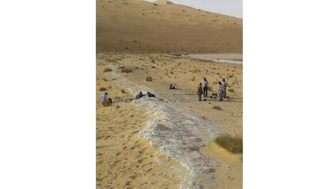 أحفورة عمرها 85 ألف سنة في السعودية قد تعيد تعريف نظرية الهجرة الحديثة