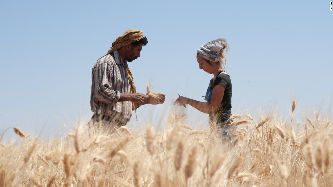 اكتشاف بقايا خبز مخبوز منذ أكثر من 14 ألف عام في الأردن