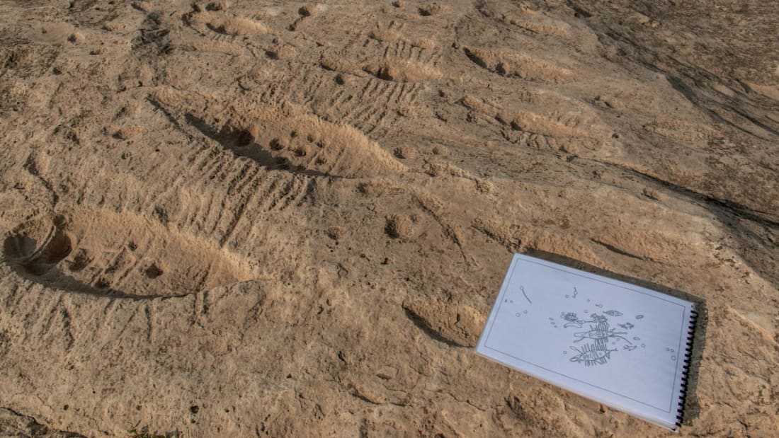 رموز صخرية غامضة في صحراء قطر..ما معناها؟