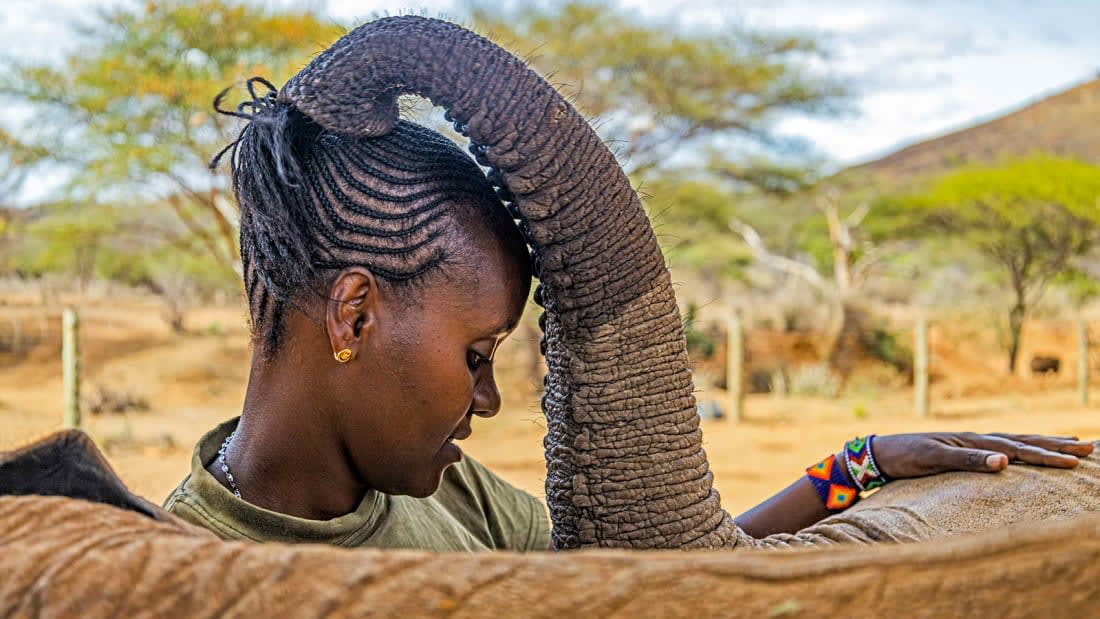 مسابقة "بنيامين مكابا" للتصوير الفوتوغرافي للحياة البرية في أفريقيا