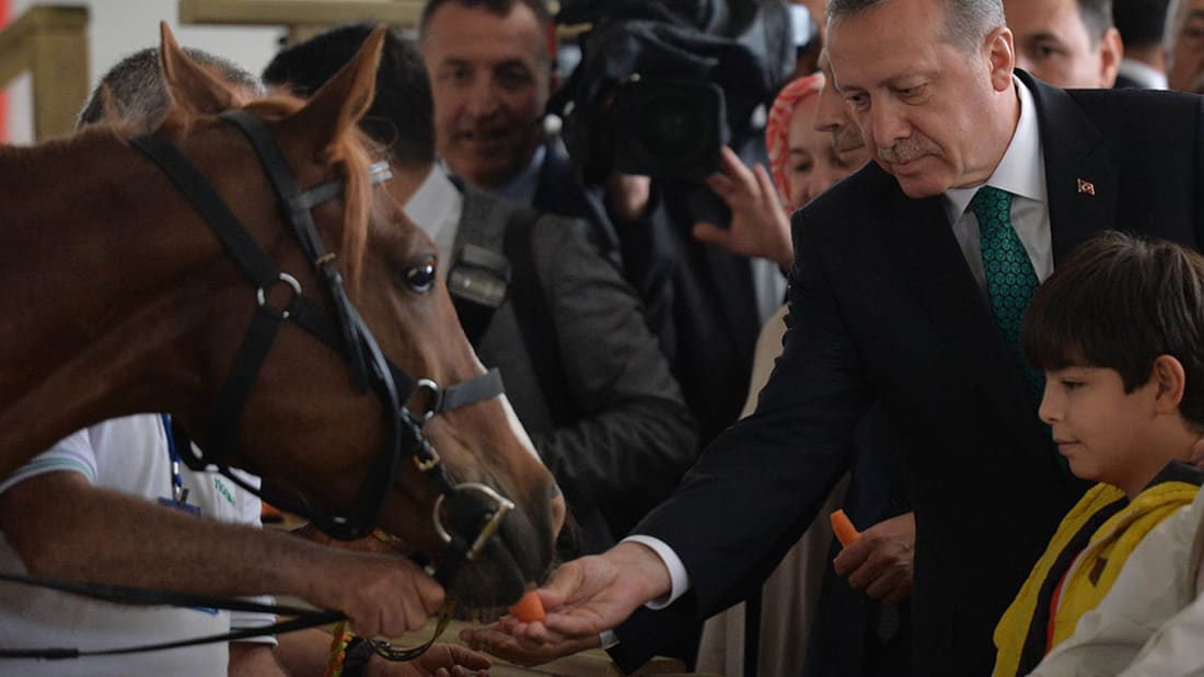 النتائج الأولية للانتخابات بتركيا: حزب أردوغان يخسر أنقرة ويربح البلاد