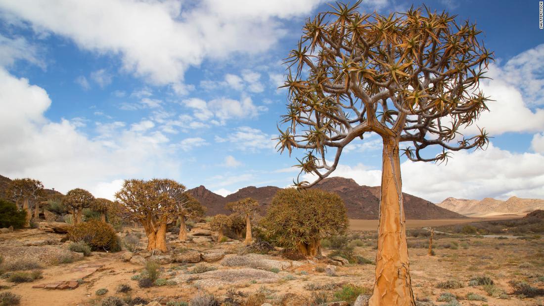 صحراء أمريكية نائية تضم أجمل المناظر الخلابة على كوكب الأرض