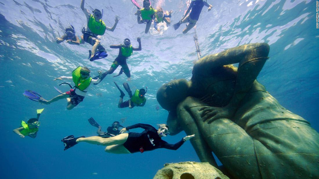تجربة العمر.. السباحة مع السلاحف البحرية في جزر البهاما
