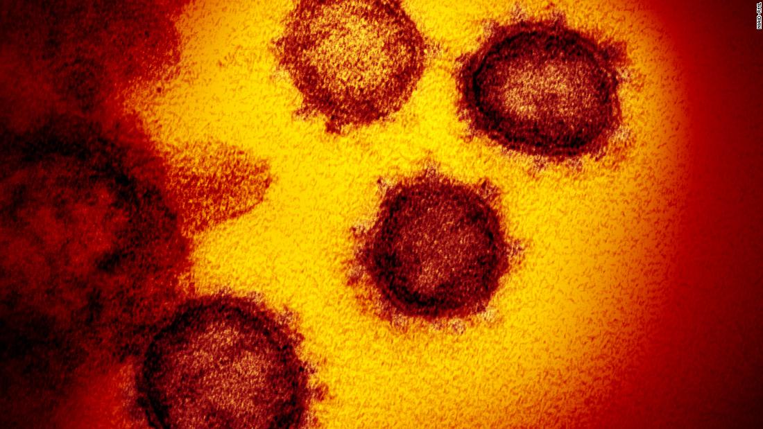 السلطات الصحية تحذر من أن وباء فيروس كورونا قد يهدد بتعطيل جهود المناعة في جميع أنحاء العالم