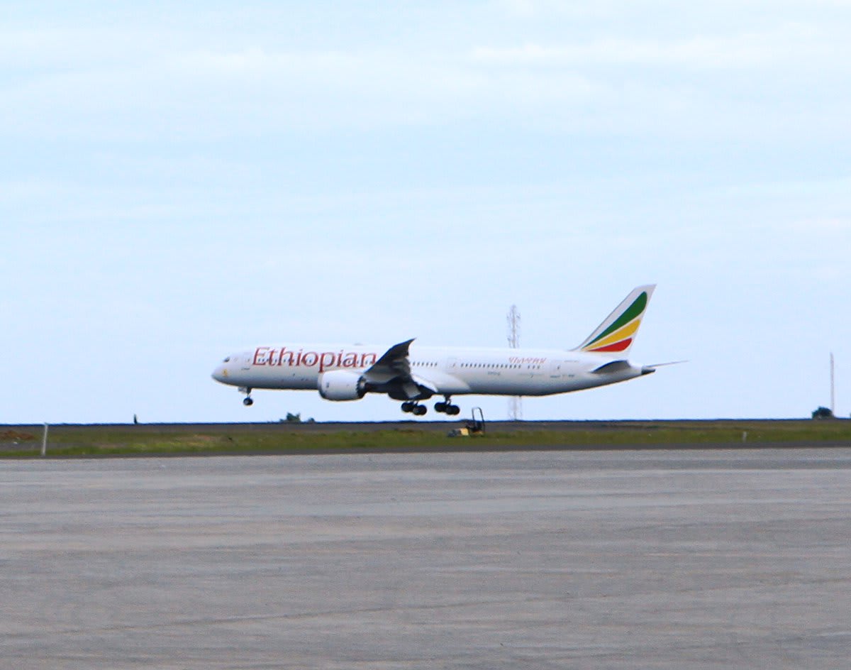 أول رحلة جوية منذ 20 عاما بين البلدين.. "طائر السلام" يحلّق من إثيوبيا إلى إريتريا 