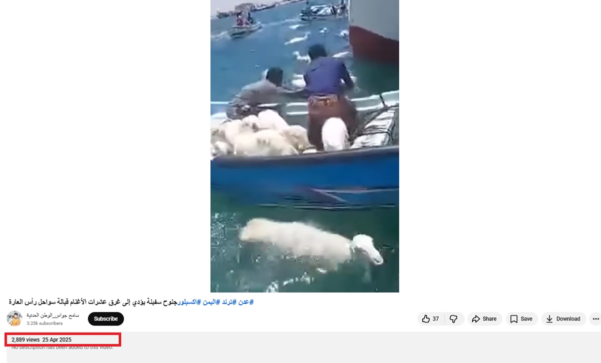  جنوح سفينة تحمل أغناما قبالة سلطنة عمان بعد هجوم بمسيرات .. ما حقيقة الفيديو؟