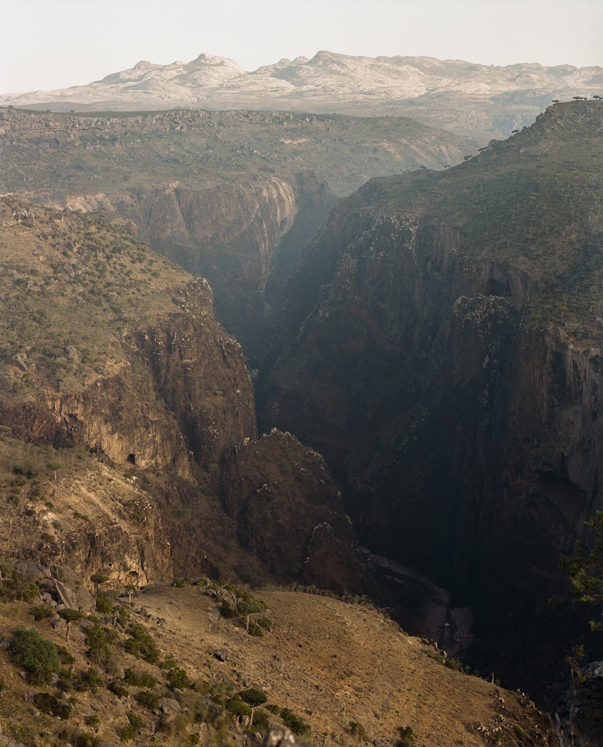 مصور فرنسي يوثق جانبا آخر من جزيرة سقطرى باليمن لم تلتقطه الكاميرات سابقا