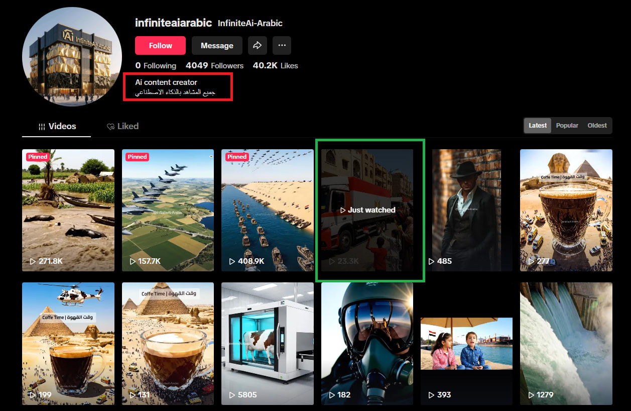 فيديو متداول لـ دخول معدات مصرية إلى قطاع غزة .. هذه حقيقته