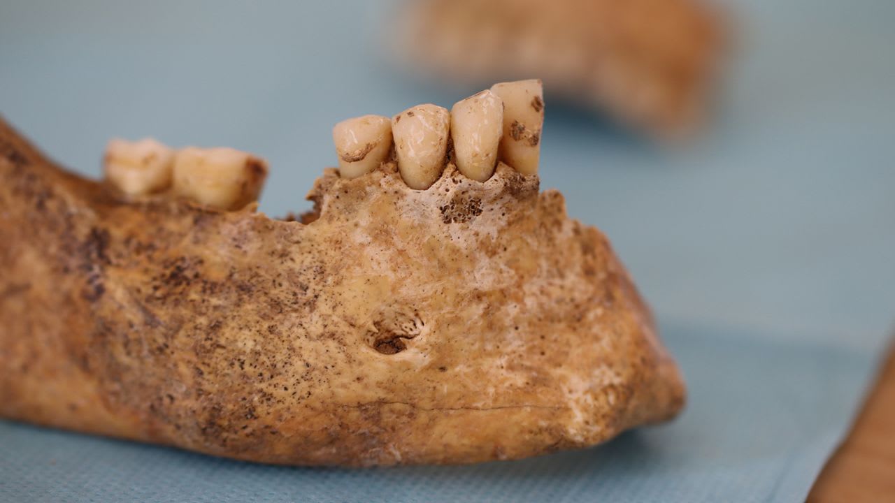 Die Nahrung der ersten Neandertaler