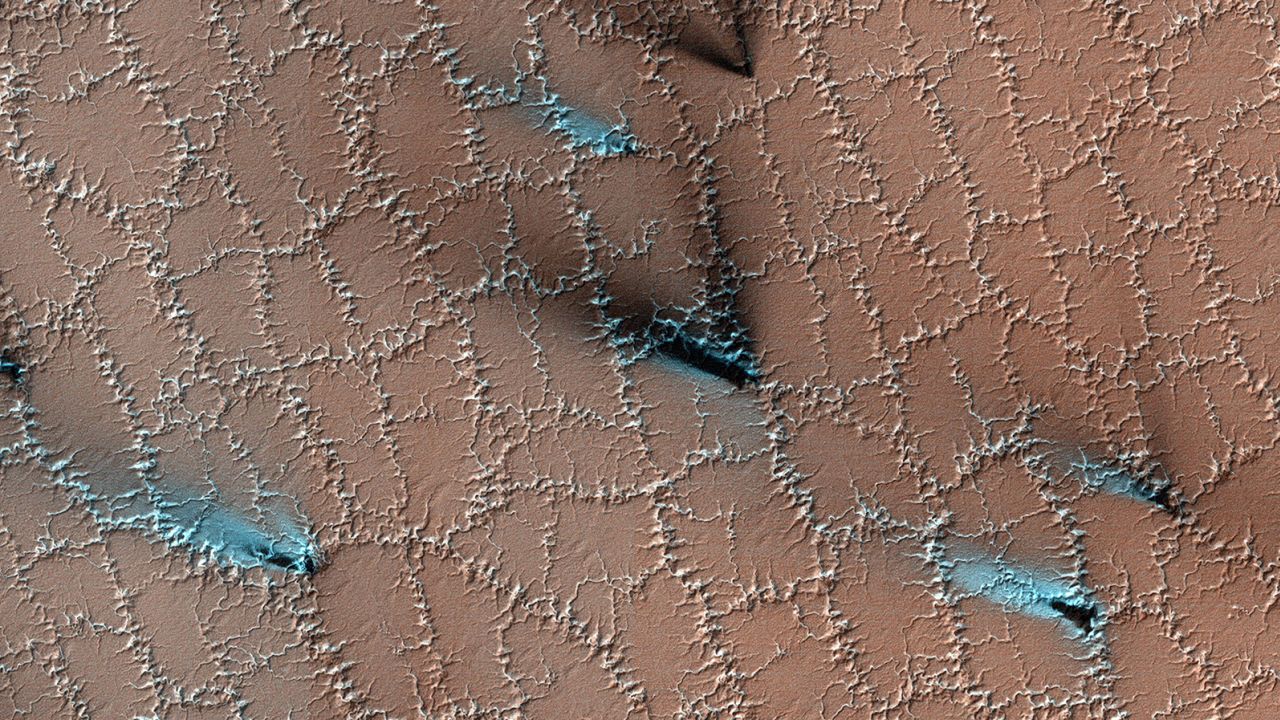 Frozen soil ice has left polygonal shapes on the surface of Mars