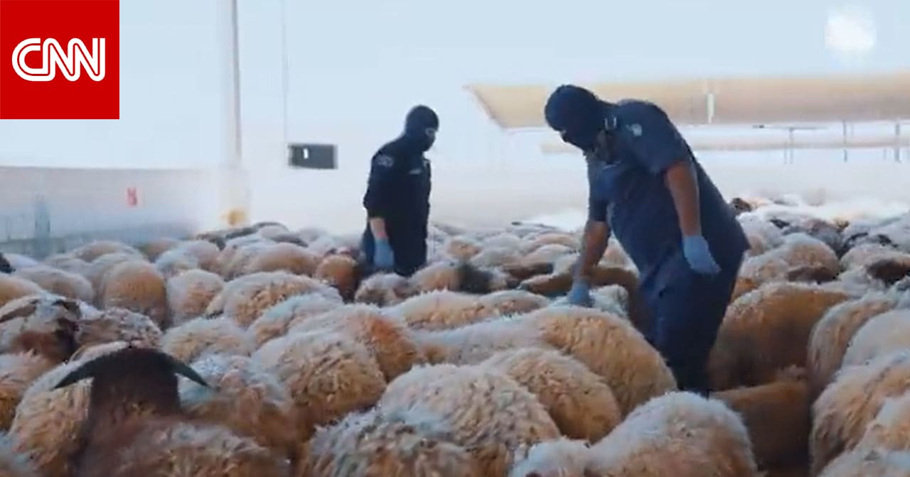 السعودية تنشر فيديو كيف أحبطت تهريب كمية مخدرات ضخمة وأسلوب المهرّب