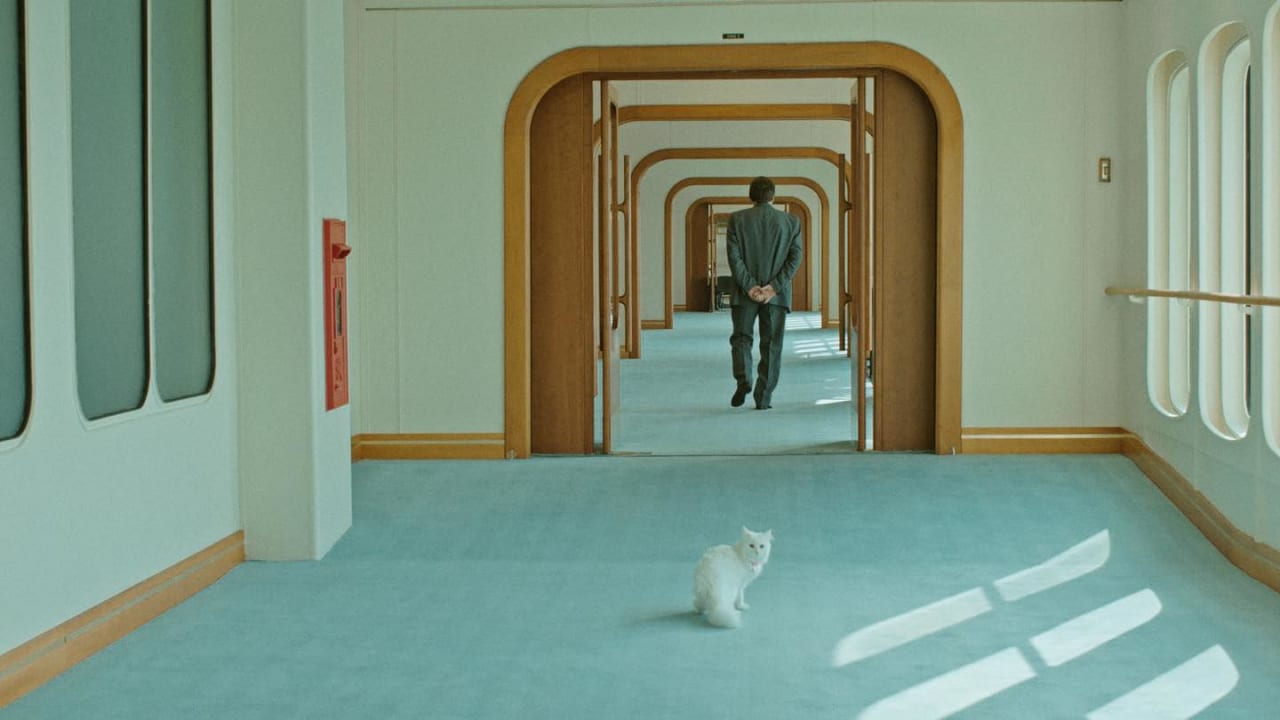 رمضان 2021 سي إن إن عربي