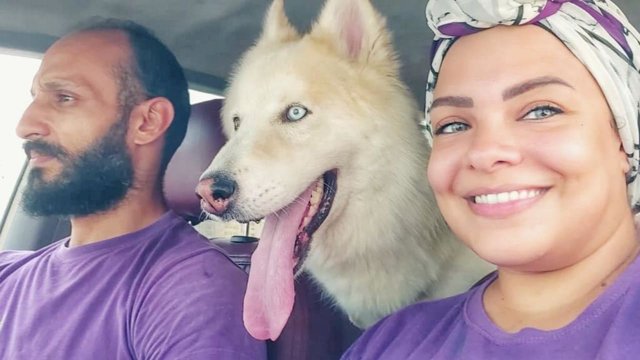 يشتمل زبائنهم على الكلاب والزواحف.. ثنائي بمصر يطلقان خدمة تاكسي للحيوانات الأليفة