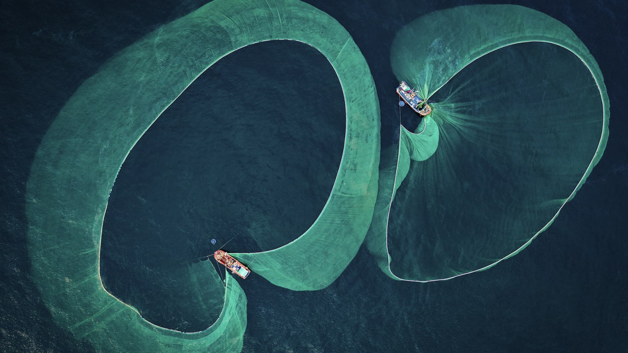 صورة صيد صادمة ورائعة.. فازت بجائزة حماية الحياة البحرية لعام 2022