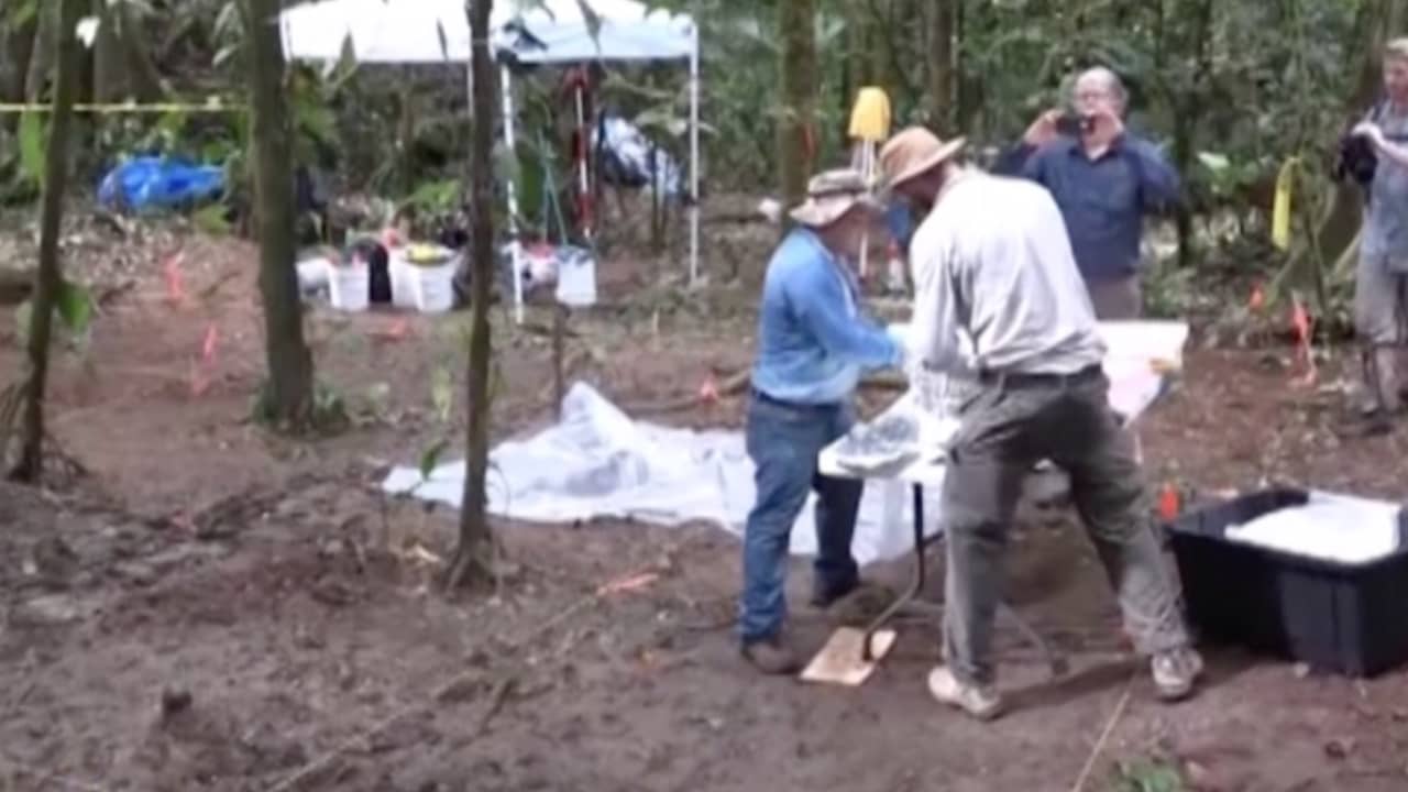 بالفيديو: العثور على أجزاء مدينة أثرية في هندوراس