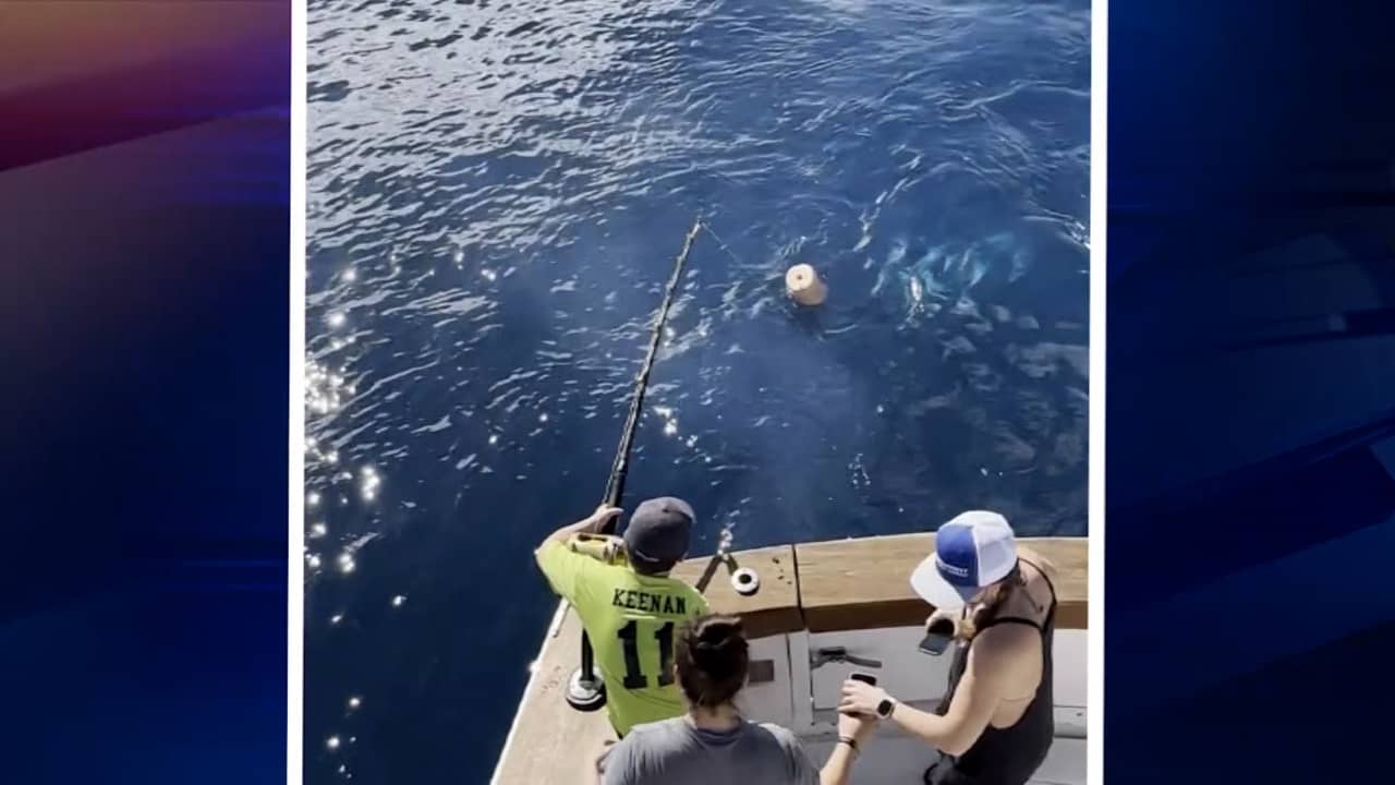 صيد العمر.. شاهد طفلًا يصطاد سمكة قرش بيضاء ضخمة أثناء رحلة بحرية