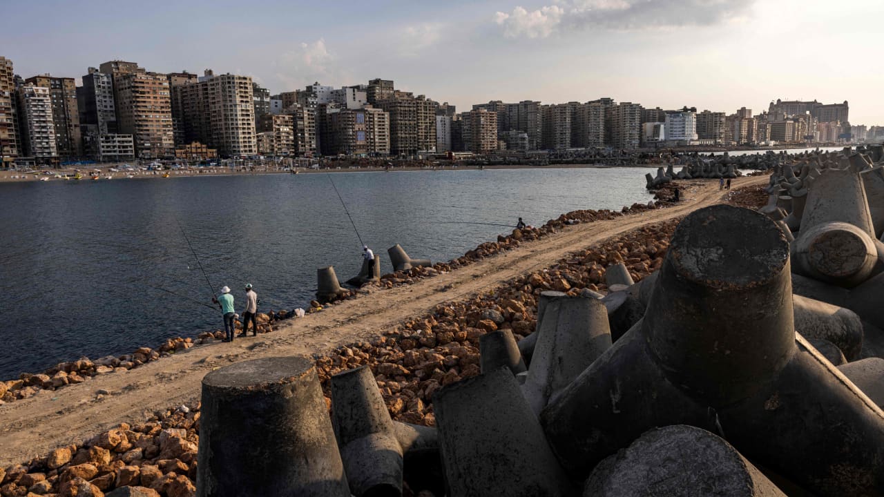 نفوق كميات كبيرة من الأسماك في الإسكندرية.. مسؤول مصري يكشف الأسباب