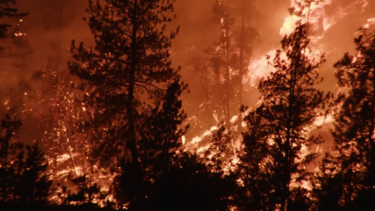 فيديو يظهر مشاهد مخيفة لحرائق غابات هائلة تجتاح كندا