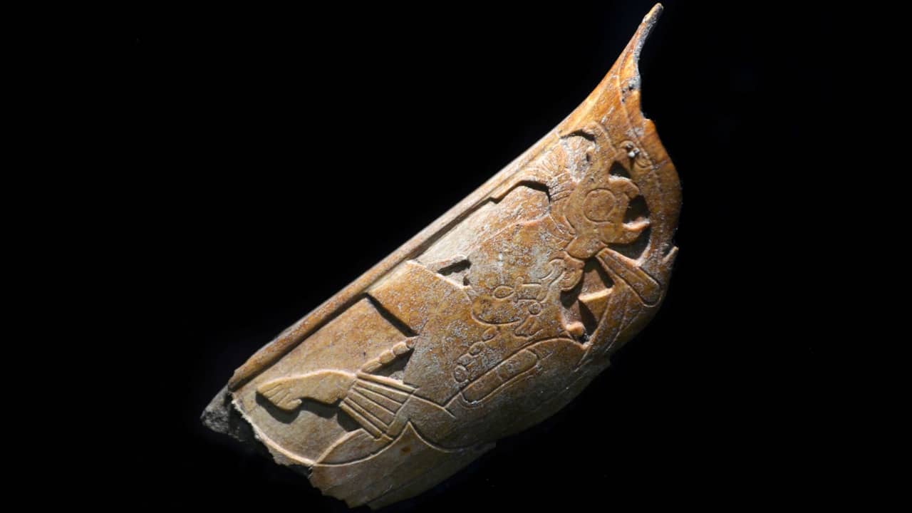 مصنوعة من عظم بشري.. العثور على زينة أنف تعود لحضارة المايا في المكسيك