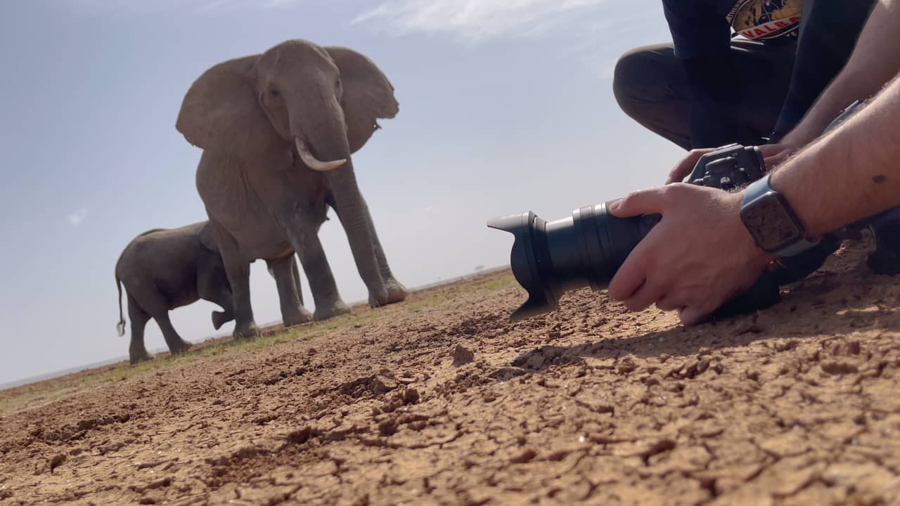 في مشهد مخيف.. كويتي يُصوّر الفيلة من مسافة تصل إلى أقل من 3 أمتار 