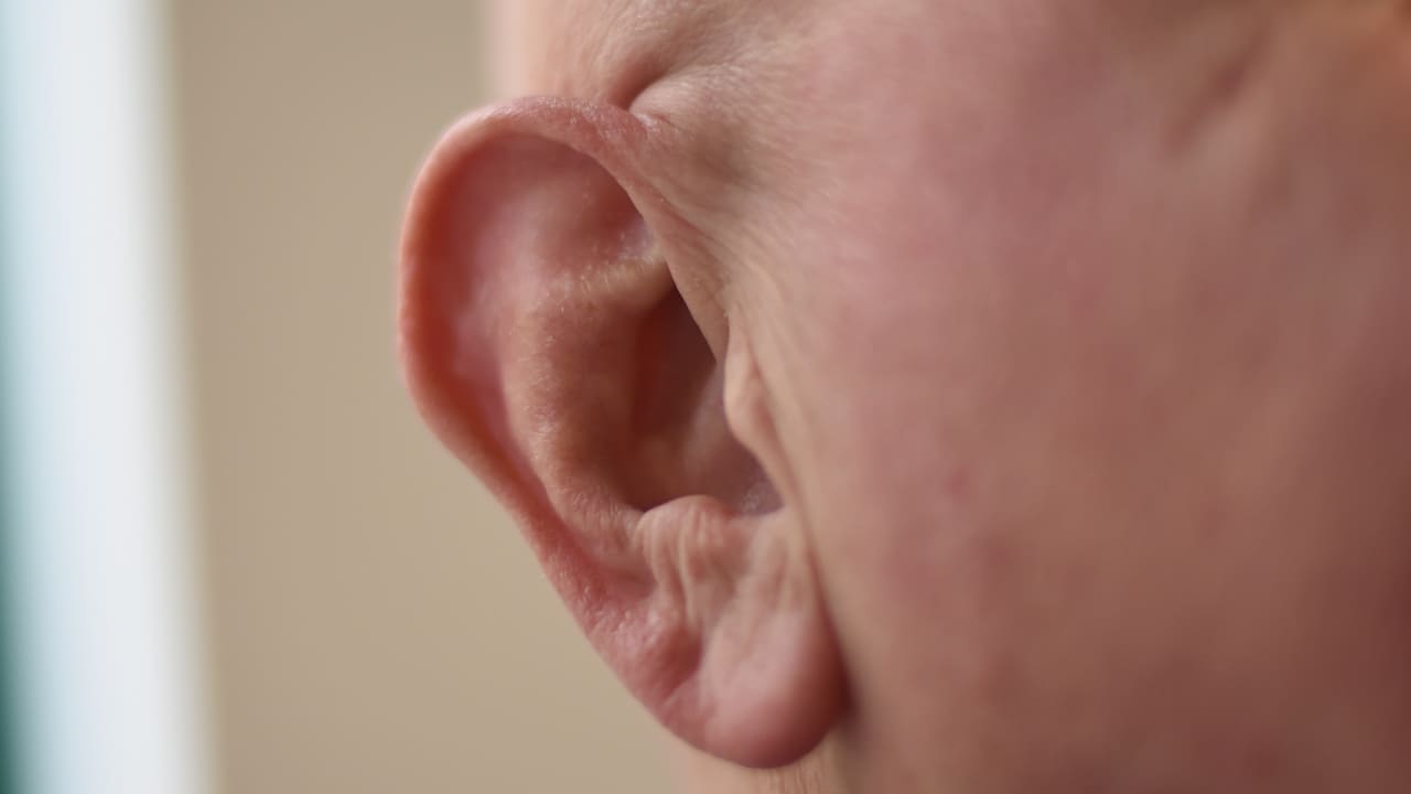 فطريات الأذن