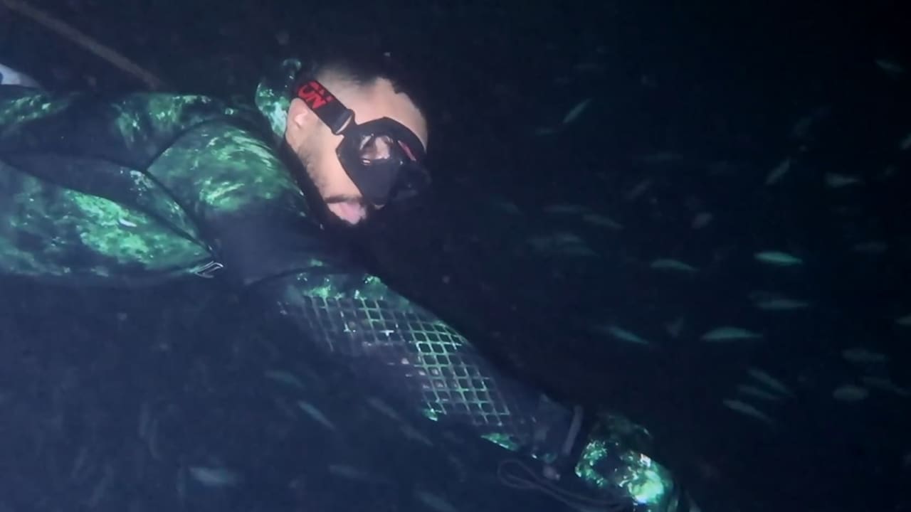 بشفرة مخفية على رأسها.. سعودي يُصادف "سمكة صخرية" أثناء الغوص ليلًا في البحر الأحمر