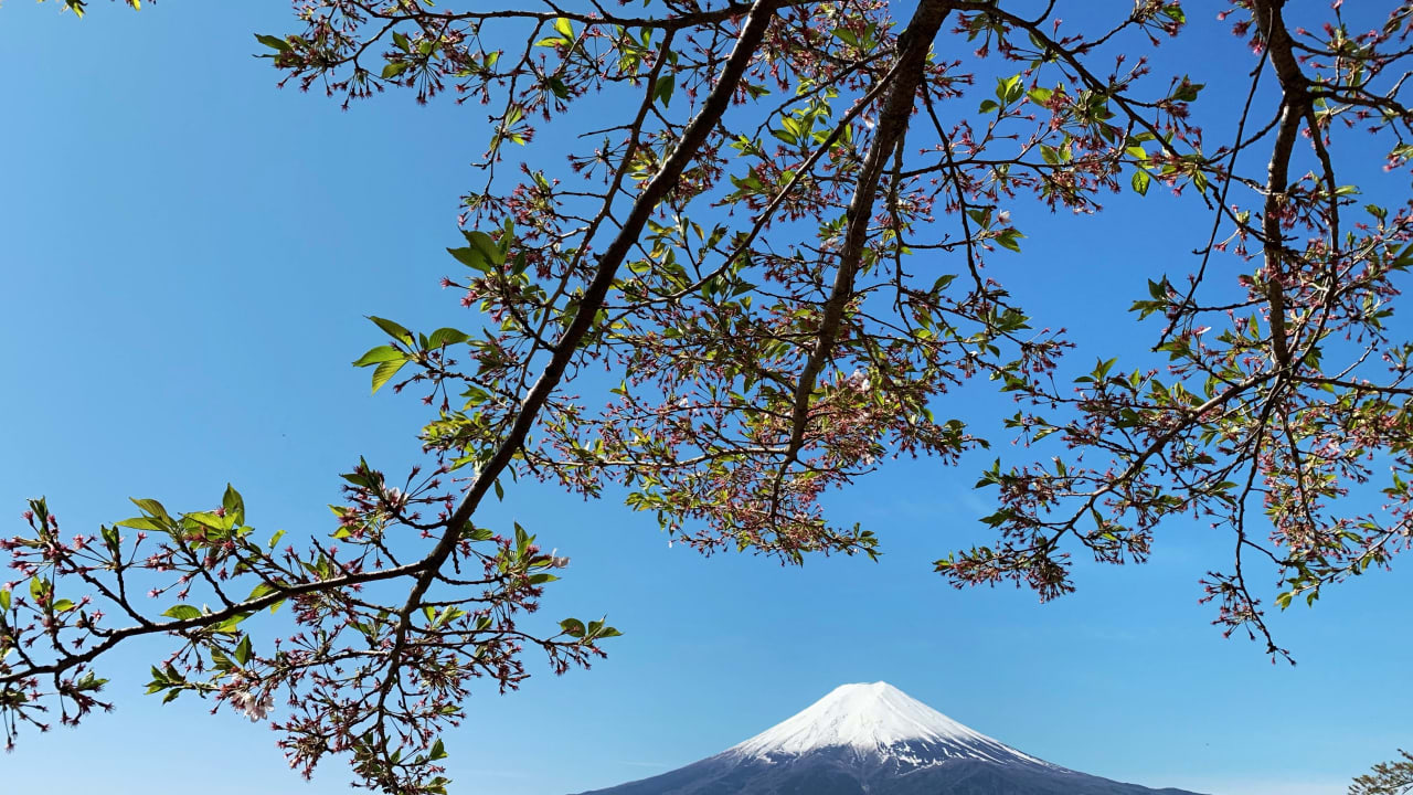 في اليابان.. جبل فوجي يضع حدًا أقصى لعدد الزوار ورسوم للدخول بسبب الازدحام