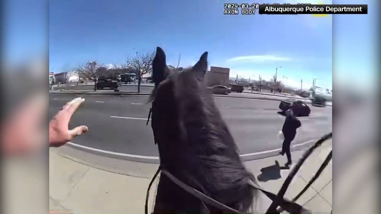 شاهد.. شرطي يطارد لصا على ظهر حصان في أمريكا