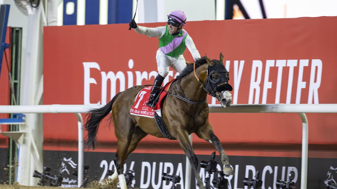  كأس دبي العالمي.. هكذا تسافر نخبة الخيول في "الدرجة الأولى" إلى واحدة من أكبر سباقات العالم